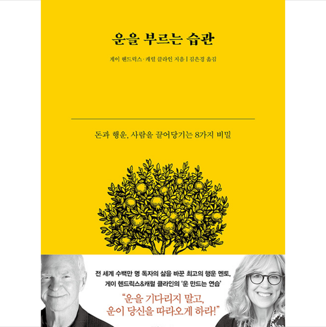 을 부르는 습관 + 미니수첩 증정, 게이 헨드릭스, 캐럴 클라인