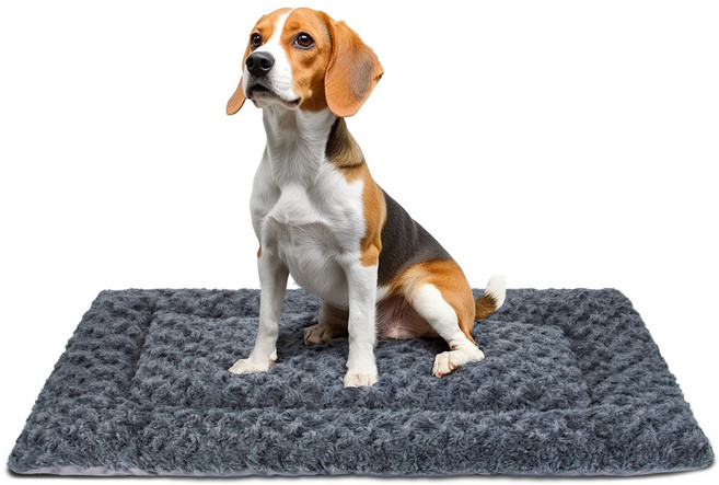 프리미엄 강아지 고양이 방석 통세탁 양면 사계절 극세사 힐링 쿠션, 1개, 다크 그레이