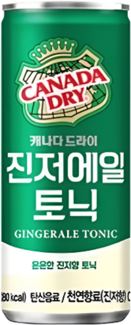 캐나다드라이 진저에일 토닉, 250ml, 10개