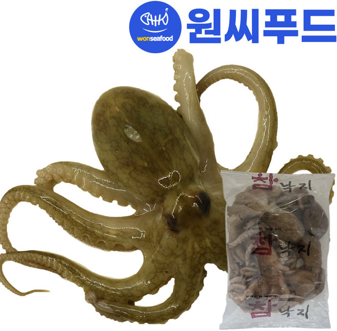 원씨푸드 냉동 활낙지 4미 820g, 1개