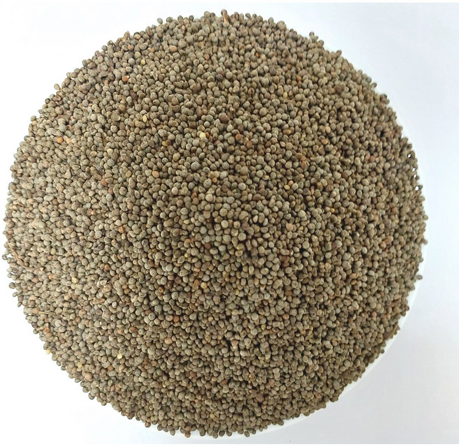 2025년 햇 중국산 길림성 들깨 6kg 국내선별건조, 6개