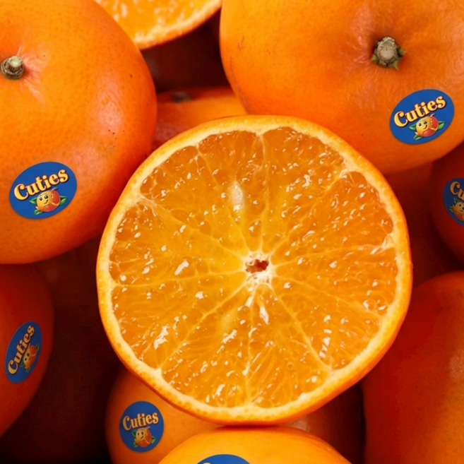 [일일특가] 초고당도 미국산 만다린 감귤, 1개, 5kg