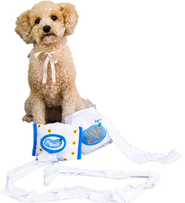 모두와샵 강아지 노즈워크 휴지장난감 개풀리는 집 물티슈형+곽티슈형, 혼합색상, 1세트