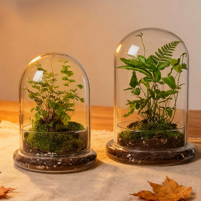 미스토토 테라리움 화분 돔 유리, m048_돔유리화분-소(빈병)