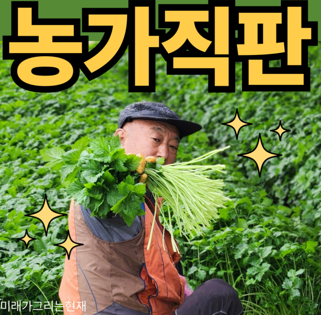 농가직송 국내산 참나물 당일채취, 1박스, 4kg