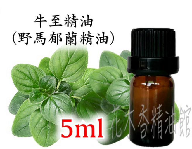 牛至精油 奧勒岡精油 5ml, 1個