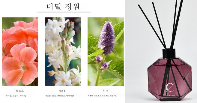 Clybo 아로마 오일 가정용 방향제 장식소품 디퓨저 팔변병세트, 185ML, 시크릿 가든, 1개