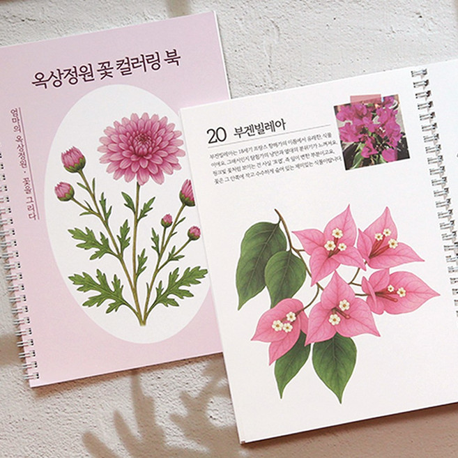 옥상정원 꽃 컬러링 북 도안 어르신 색칠공부 색칠하기 어른 성인취미 치매예방 책 컬러드로잉 시니어 학습지