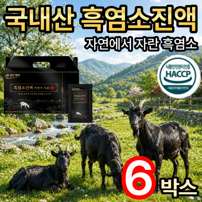 [골든케어] 국내산 흑염소진액 흑염소즙 / [세트구매] 홍성호 울릉도 마가목 흑염소 진액 100% 추가사은품 증정, 6개, 80g