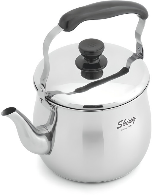 퀸센스 샤이니 인덕션 스텐 주전자, 3L, 혼합 색상, 1개