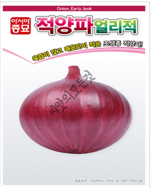 아시아종묘 아시아 천주적 적양파 씨앗 2.5g, 1개