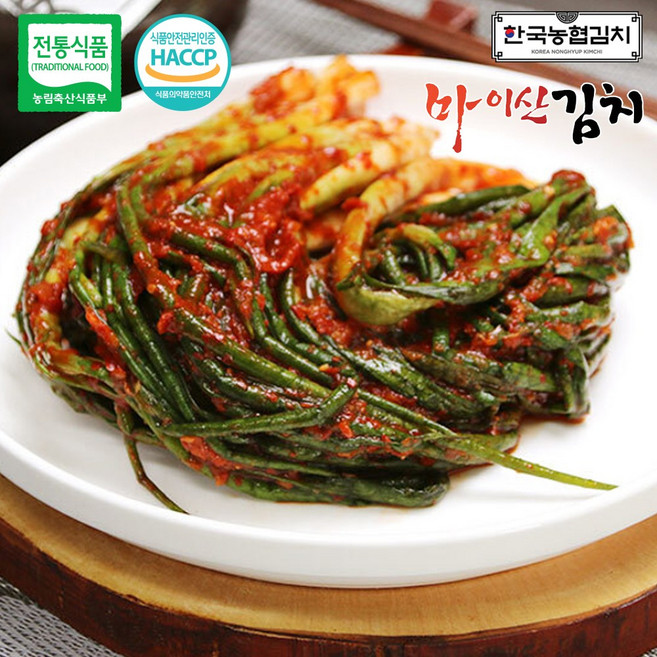 한국농협김치 국산 재료 100% 전북 진안 마이산 파김치 5kg, 1개