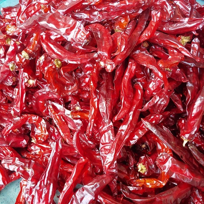 황가네 영주 고추가루, 1박스, 보통맛500g