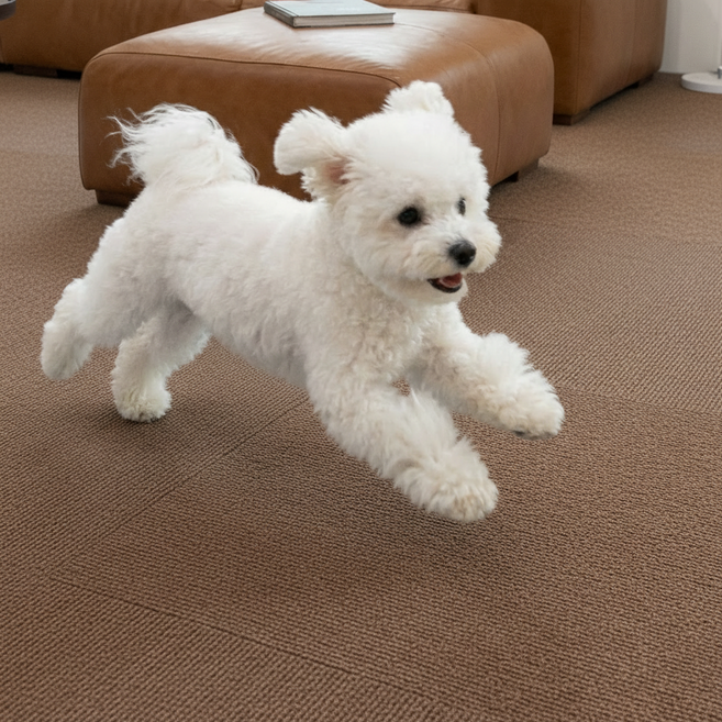 노는 개 최고양 접착제 남지 않는 흡착식 강아지 고양이 미끄럼 방지 거실 매트, 10개, 브라운