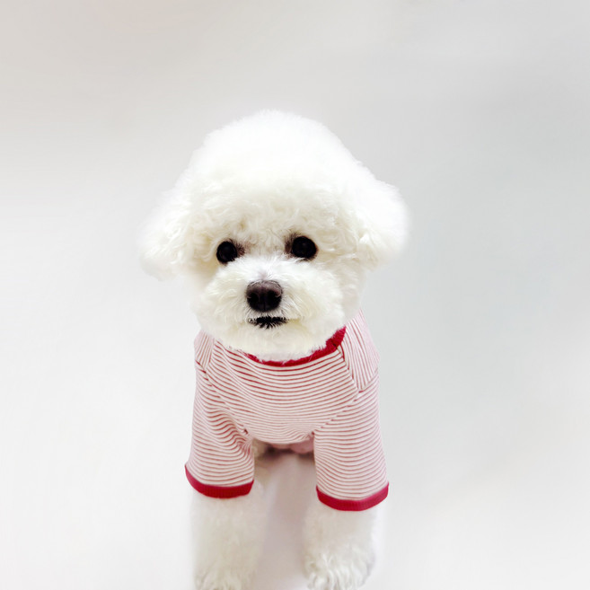 스타일독 강아지옷 미카 스트라이프 라운드, 1개, 빨강