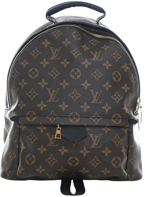 루이 비통 중고 2021-2025 모노그램 팜 스프링스 MM 백팩