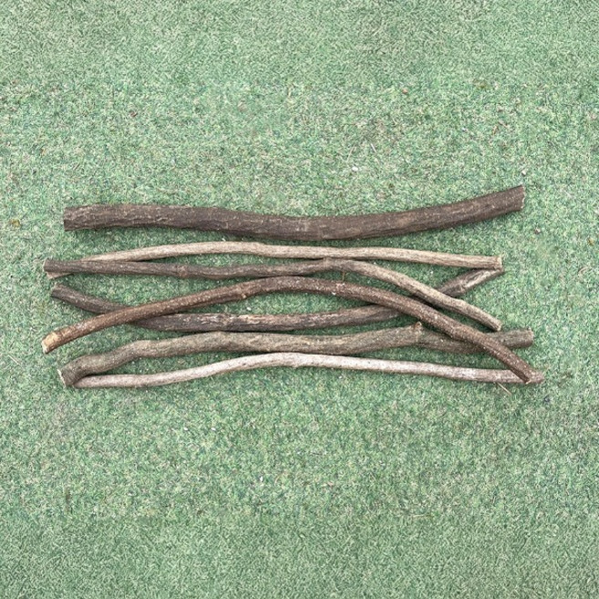 칡넝쿨 유목 대(두께2-4cm 길이60cm내외) 1개 테라리움 비바리움재료 덩쿨유목 도마뱀, 나무색