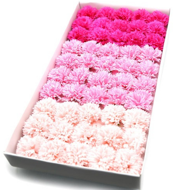 비누꽃 카네이션 3색 50송이 1박스 꽃대미포함