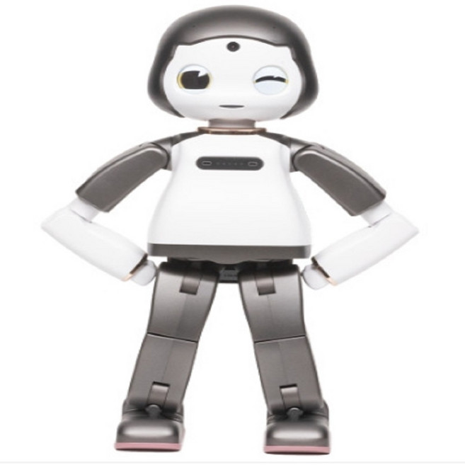 인공지능 감성 AI로봇 ROBOT LIKU, 1개