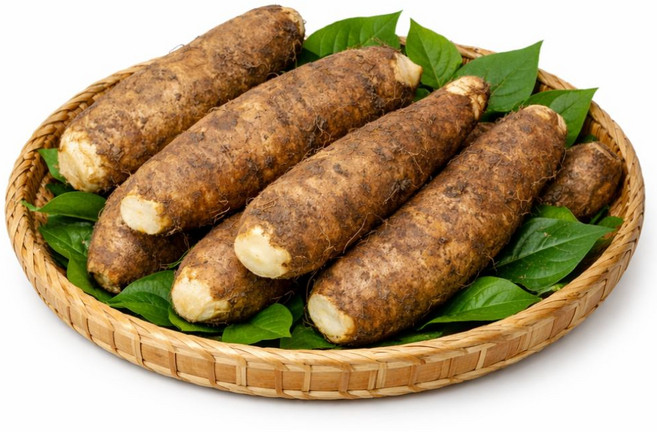 [재구매율1위] 안동 참마 산마 프리미엄 햇 생 마 정품 디아머스, 1박스, 1.5kg (특품)