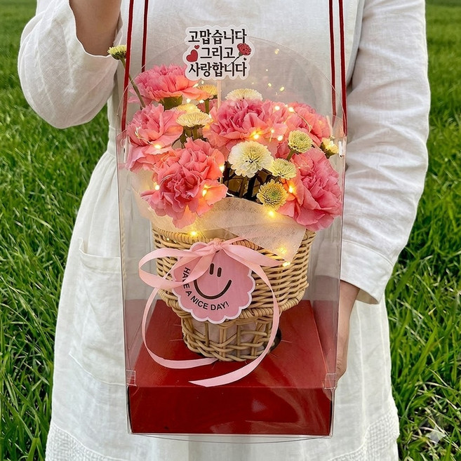 어버이날 스승의날 아르띠콜로 LED 카네이션 꽃바구니 세트 (손잡이캐리어+메세지픽 포함) 주말배송 가능, 1개, 핑크