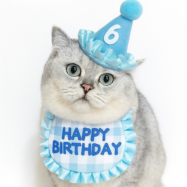 엘유엔 반려동물 생일케이프 모자 숫자스티커 세트, 1개, 블루