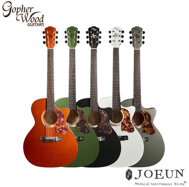 고퍼우드 i232RC GA바디 탑솔리드 입문용 어쿠스틱기타 통기타 포레스트 글림, Forest Gleam