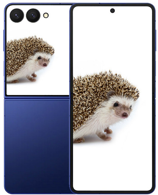 삼성전자 갤럭시 Z 플립7, 256GB, 블루