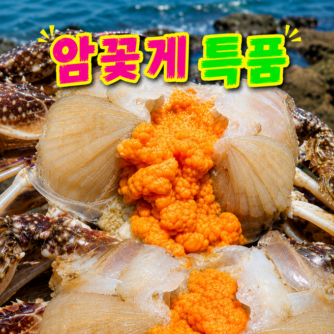 [알듬뿍A급] 국내산 꽃게 알배기 암꽃게, 1박스, 1kg(A급)