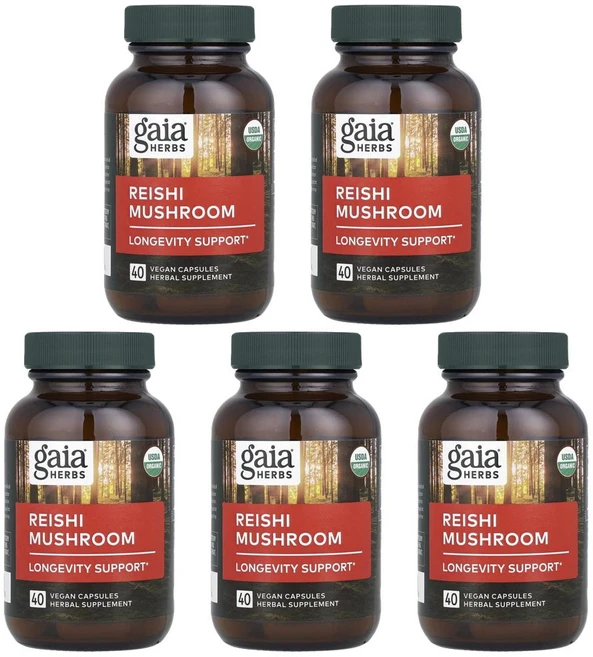 가이아 허브 영지버섯 캡슐, 5개, 40정 - 쿠팡