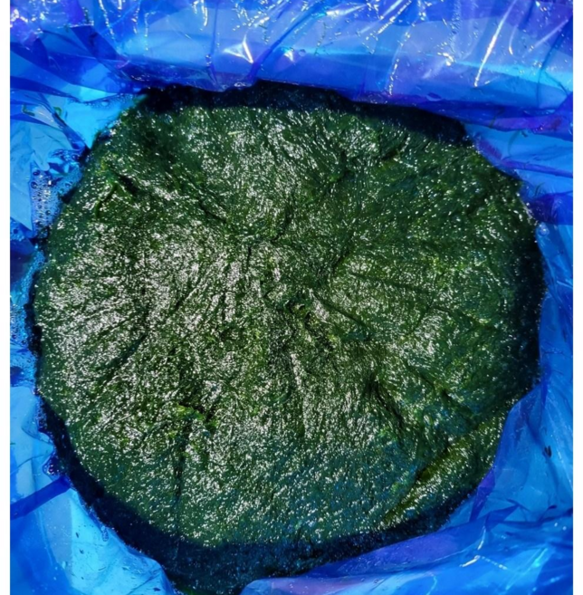 전남 무안 감태 물감태 생감태 찰감태, [냉동감태] 3kg, 1개