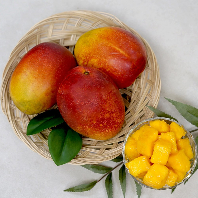 [호텔 및 백화점 납품] 프리미엄 제주 애플망고, 1박스, 애플망고 3kg 7~8입