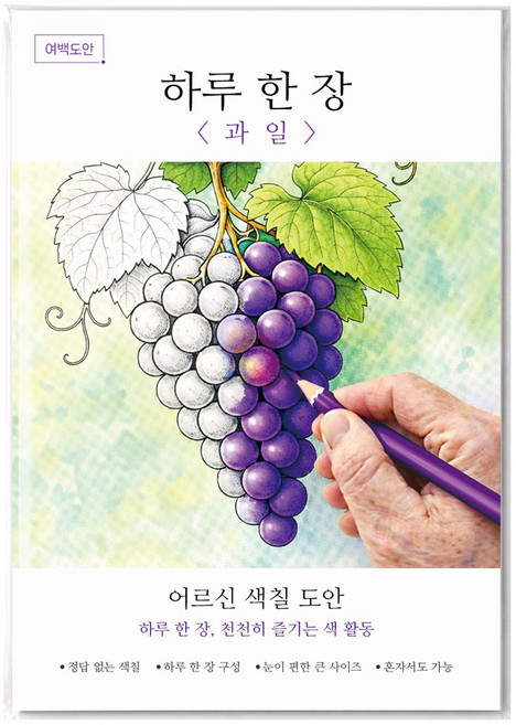여백도안 하루한장 어르신 색칠도안 치매예방 시니어 인지향상 색칠공부, 1개, 과일