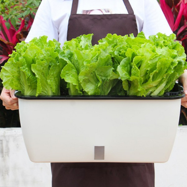 로하스리빙 베란다텃밭 채소화분(WTP-VT08) 텃밭가꾸기 대형화분, 1개