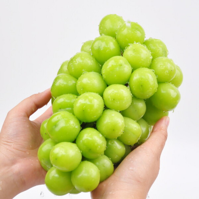 [푸르젠] 샤인머스켓 750g내외 (1수) /프리미엄, 1개