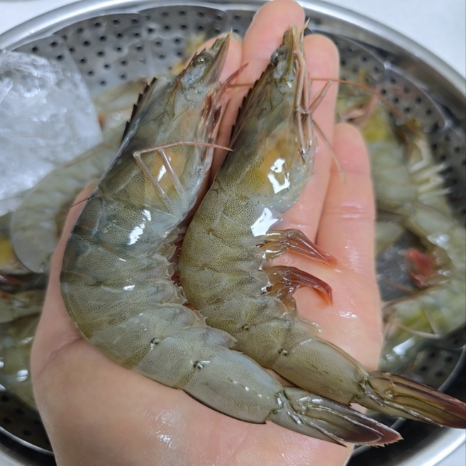 산지직송 국내산 활새우 급냉 냉동 왕새우 신안 살아있는대하새우 당일조업, 1박스, 활 흰다리새우 1kg 40미내외