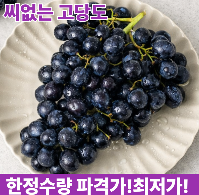 [고당도] 블랙세이블 포도 20Brix이상 씨없는 수입포도, 1박스, 2kg