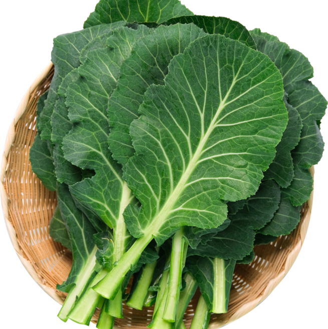 녹즙용 샐러드용 주스용 케일 쌈케일, 1개, 1kg