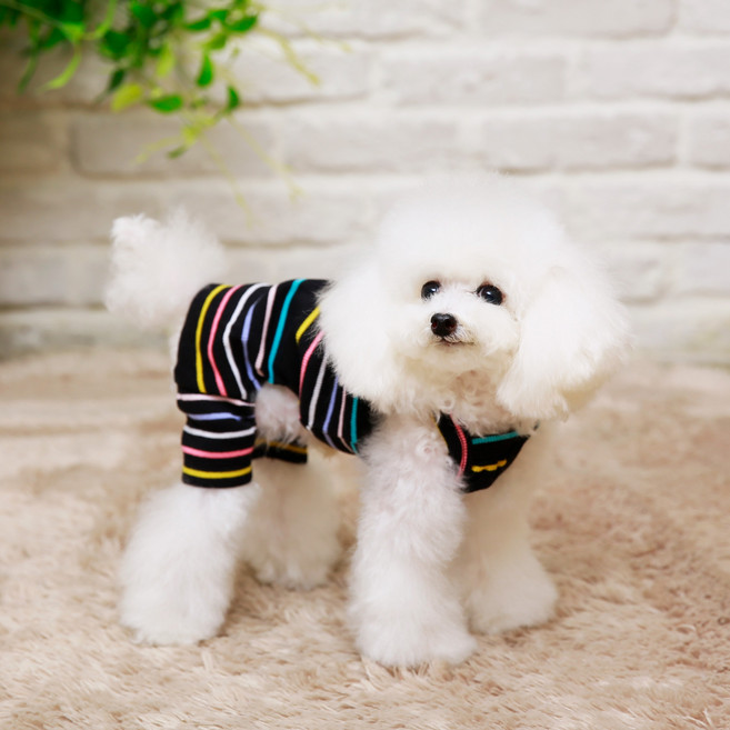 [펫디자인] 캔디 끈나시 올인원 강아지옷, 블랙, 1개