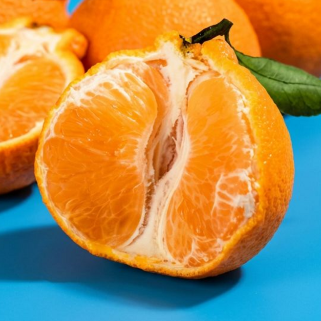 [3일초특가] 산지직송 벌꿀맛 제주 한라봉, 1박스, 10kg