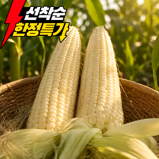 [한정기획특가] 국산 괴산 대학찰옥수수 특품, 1박스, 20개 (17cm 내외)