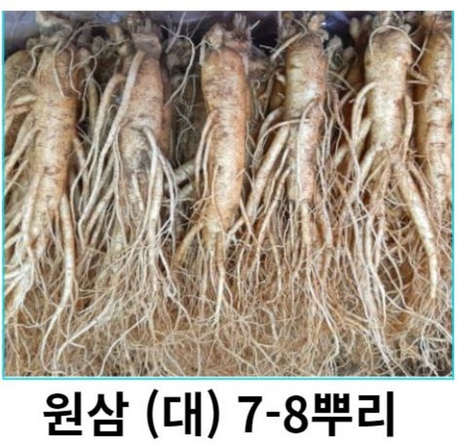 금산인삼 원삼(특) 7-9뿌리 큰인삼 원수삼 금산인삼 원수삼특대 인삼 세척선택, 1개, 750g