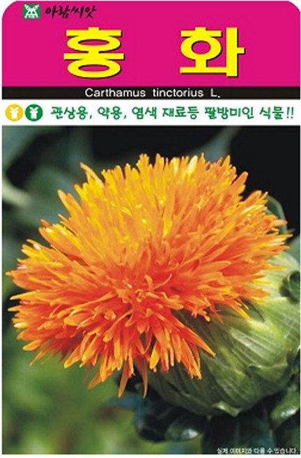 영농사 홍화 씨앗 100립 홍화씨, 2개