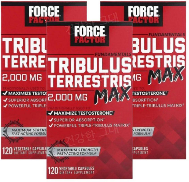포스팩터 트리뷸러스 트리블러스 2000mg 120캡슐 3개 셀레늄 Tribulus, 120캡슐 3병, 120정