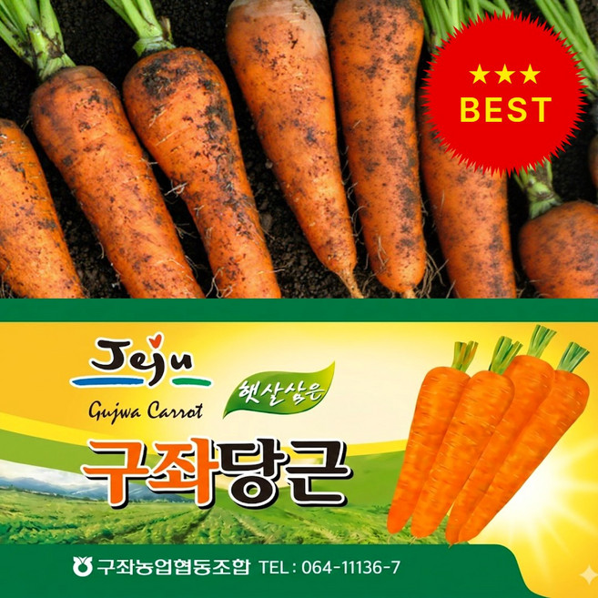 [재구매1등] 국내산 당근 제주 구좌당근, 1개, 구좌당근-(특상) 10kg