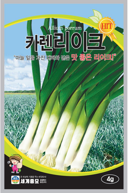 카렌리이크 4g / 리크씨앗 리크씨 대파씨앗 서양대파, 2개