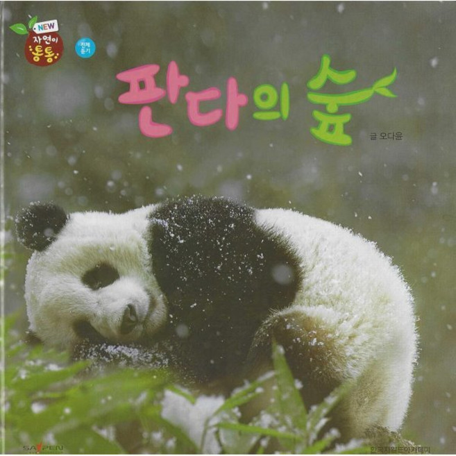 판다의 숲, 한국차일드아카데미, 자연이 통통