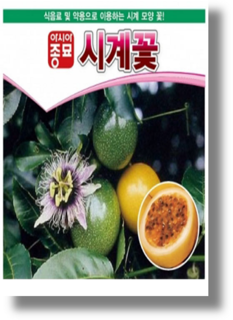 백향과 패션후르츠 종자 씨앗 10립 식용열매 시계꽃 열대과일 향좋고 맛좋은 과일, 1개