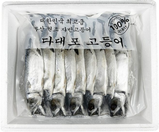 재입고 국내산 부산 다대포 참 자반 고등어 대 사이즈 10미, 1세트