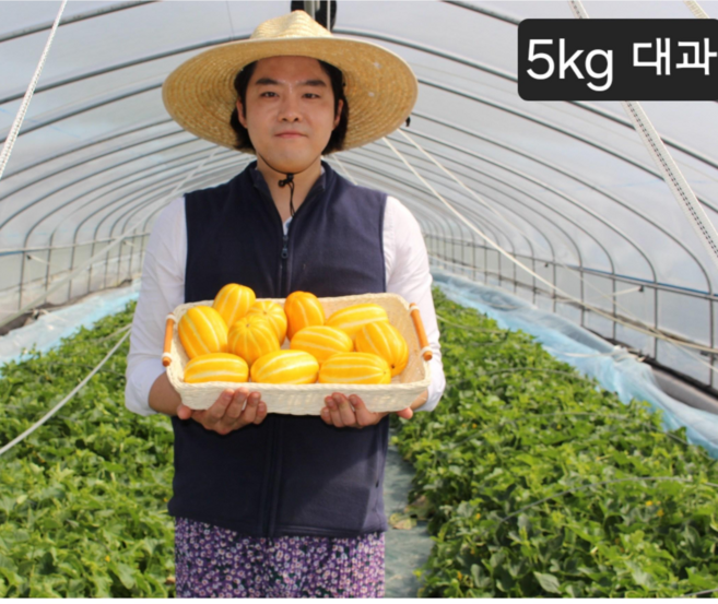 에덴청과 성주참외 산지직송 프리미엄 가정용 선물용 성주꿀참외, 1박스, 선물용 특품 5kg(대과)